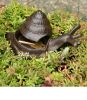 Garden Snail Key Hider