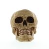 Grinning Skull Figurine